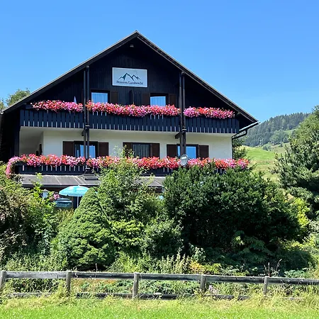 Lambrecht 2*