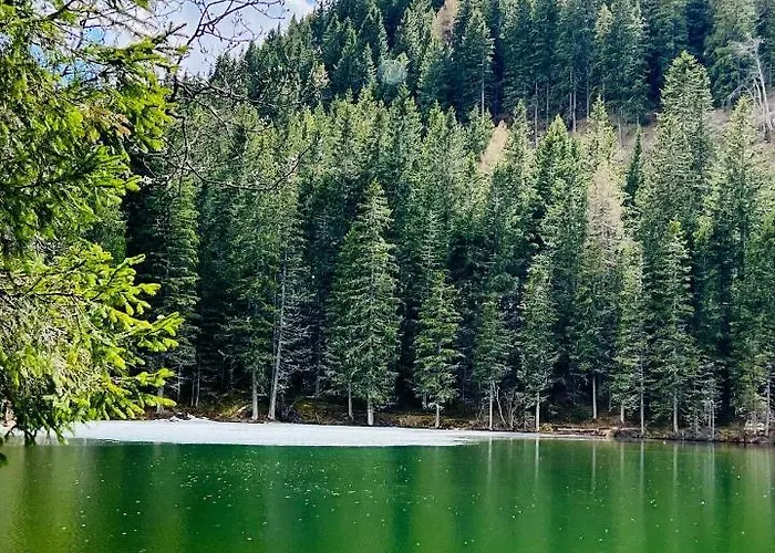 فندق Lambrecht سانكت لامبريشت