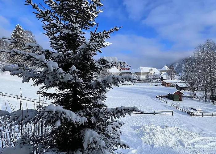 Lambrecht فندق 2*